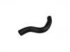 Radiator Hose:25411-1D300