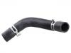 Radiator Hose:25411-2S000