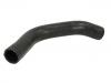 Radiator Hose:25411-1J100